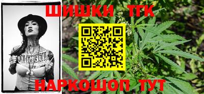 мдпв Обнинск