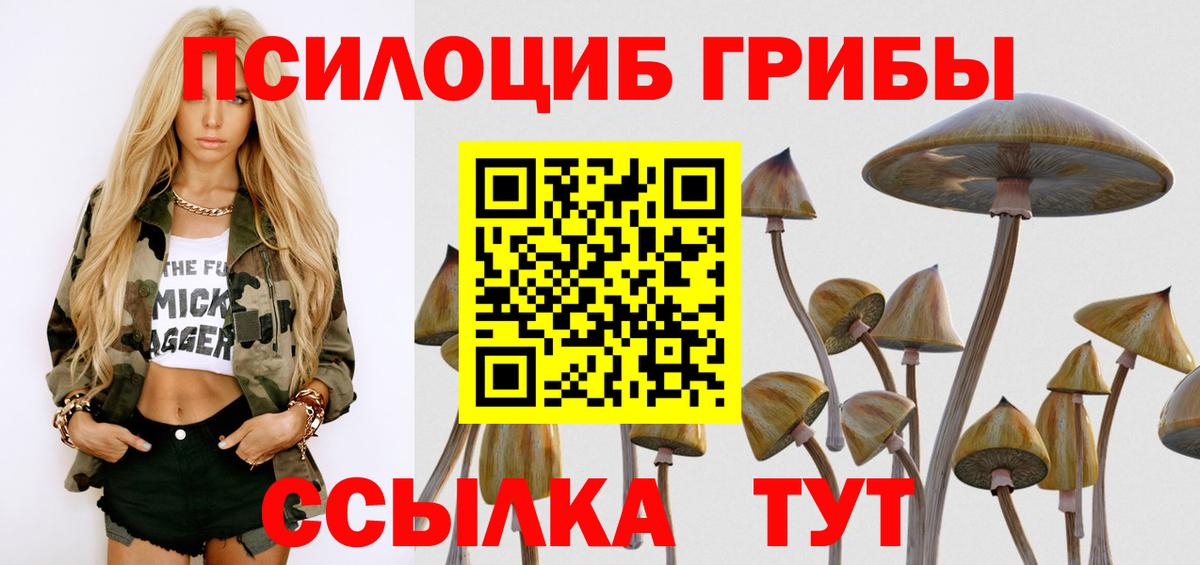 Пушкино  Галлюциногенные грибы мухоморы  Вход с VPN  Псилоцибиновые грибы мухоморы 